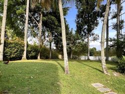 Turf Club Road (D11), Detached #482354471